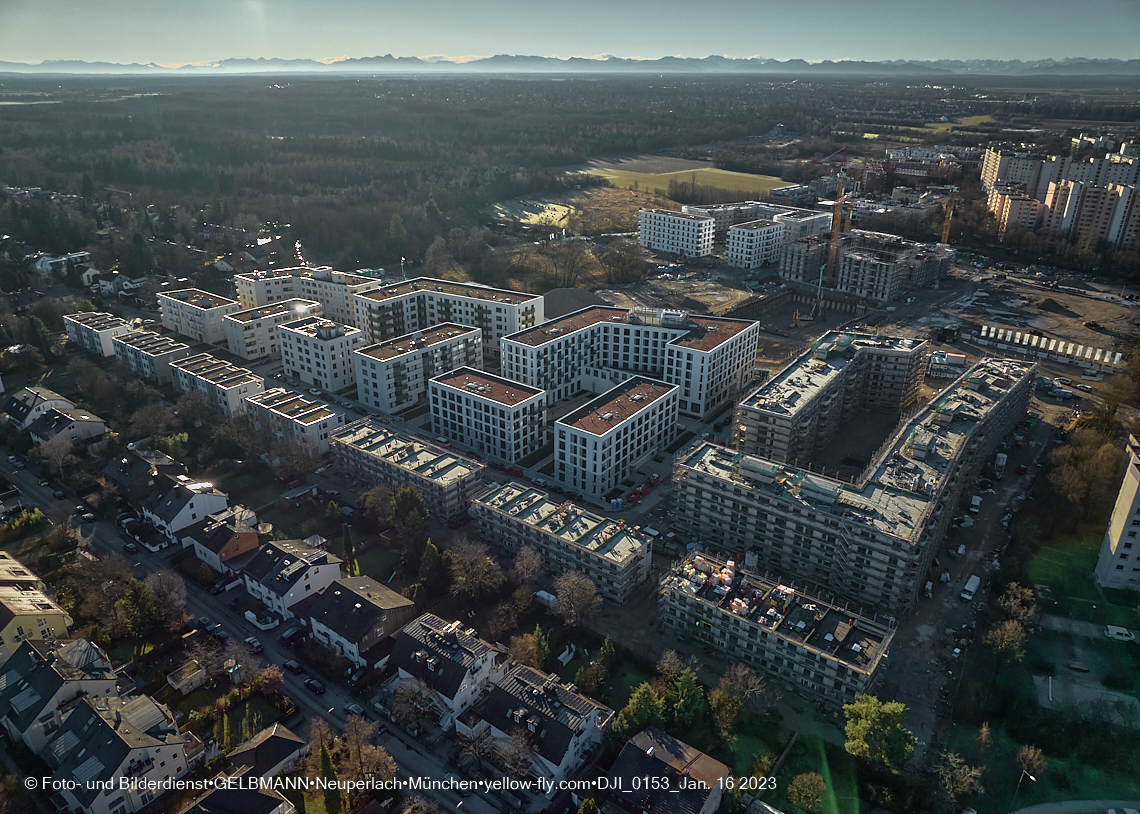 16.01.2023 - Alexisquartier und Pandion Verde